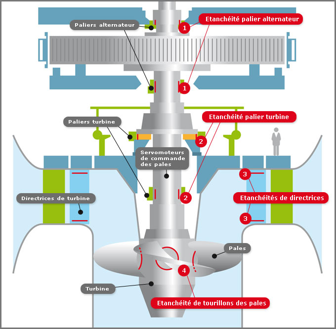 Turbine Kaplan